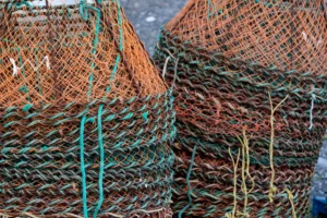 picture of crab pots